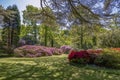 Quaint English cottage garden in spring with a variety of plants and flowers Royalty Free Stock Photo