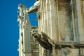 English Gargoyles