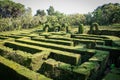 English green labyrinth with a cloudy sky Royalty Free Stock Photo