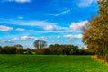 English green meadow on a sunny day, a typical rural landscape o Royalty Free Stock Photo