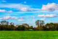 English green meadow on a sunny day, a typical rural landscape o Royalty Free Stock Photo