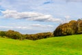 English green meadow on a sunny day, a typical rural landscape o Royalty Free Stock Photo