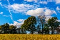 English green meadow on a sunny day, a typical rural landscape o Royalty Free Stock Photo