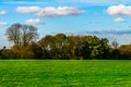 English green meadow on a sunny day, a typical rural landscape o Royalty Free Stock Photo