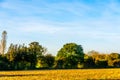 English green meadow on a sunny day, a typical rural landscape o Royalty Free Stock Photo