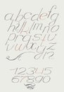 English hand drawn italic type script from a to z with digits from 0 to 9. Calligraphy made with nib beautiful elegant alphabet