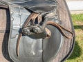 English horse saddle on bar before ridding lesson Royalty Free Stock Photo