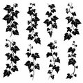 English Ivy Pot Plant Icon Set, Hedera Helix Plant Black White Design, Abstract Ivy Symbol