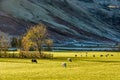 English Lake District countryside near Langdale, UK Royalty Free Stock Photo