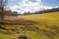 English landscape, forest and fields in spring. Sussex