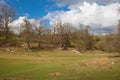 English landscape, forest and fields in spring. Sussex