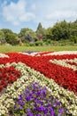 English landscape garden with red and white begonias Union flag floral display