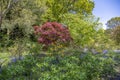 English landscape garden in Spring Royalty Free Stock Photo
