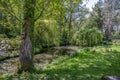 English landscape garden in Spring with trees and pond in spring in uk Royalty Free Stock Photo