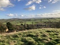 English rural landscape in Spring