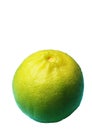 English lime is called Mexica lime, West Indian lime, and Key lime, or short lime.