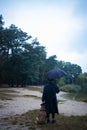 English man in stylish vintage coat and black hat walking in rainy forest with a dog. Royalty Free Stock Photo