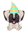 Festive poster. Puppy in a Party hat. Vector illustration. Royalty Free Stock Photo