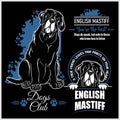 English Mastiff - vector set for t-shirt, logo and template badges