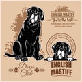 English Mastiff - vector set for t-shirt, logo and template badges