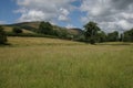 English Meadow and the Sedbergh and the Howgill Fells, Cumbria, England Royalty Free Stock Photo