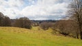 English nature. Park in Sussex spring time