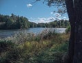 English Pak in Peterhof, Russia. Summer sunny bright view of the lake, blue sky, white clouds, reeds in the wind. Royalty Free Stock Photo