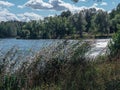 English Pak in Peterhof, Russia. Summer sunny bright view of the lake, blue sky, white clouds, reeds in the wind. Royalty Free Stock Photo