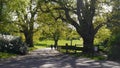 English Parkland at Exmouth in Devon South West England Royalty Free Stock Photo