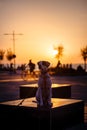 English pointer mix phenotype dog on sunset Royalty Free Stock Photo