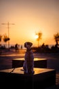 English pointer mix phenotype dog on sunset Royalty Free Stock Photo