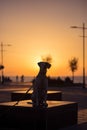 English pointer mix phenotype dog on sunset Royalty Free Stock Photo