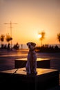 English pointer mix phenotype dog on sunset Royalty Free Stock Photo