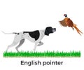 English pointer vector Royalty Free Stock Photo