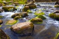 English Pond, Peterhof, Saint Petersburg, Russia. Royalty Free Stock Photo