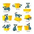 English Prepositions of Place Visual Aid for Children. Cute Cat Character in Different Poses Playing with Carton Box