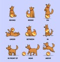 English prepositions poster with a cartoon character. Funny cartoon dog playing with ball set. Flat vector illustration