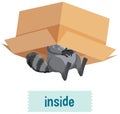 English prepositions with raccoon inside boxes