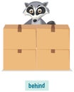English prepositions, raccoons behide the boxes Royalty Free Stock Photo