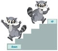 English prepositions with raccoons up and down stairs