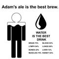 English proverb : Adams ale is the best brew.