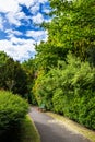 English Public Garden at late Spring with Blooming Rhododendrons