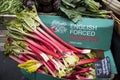 English rhubarb is a lovely vegetable for sale