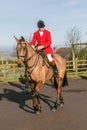 A english rider ready for drag hunting