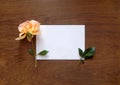 English rose and blank card for text on wood