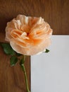 English rose and blank card for text on wood