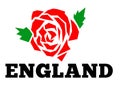 English rose England