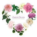 English rose wreath, pink and white flowers