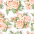 English roses seamless. Pink vintage rose seamles pattern. Vector. Quality watercolor imitattion. Not trace.