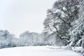 English rural countryside Winter snow landscape Royalty Free Stock Photo